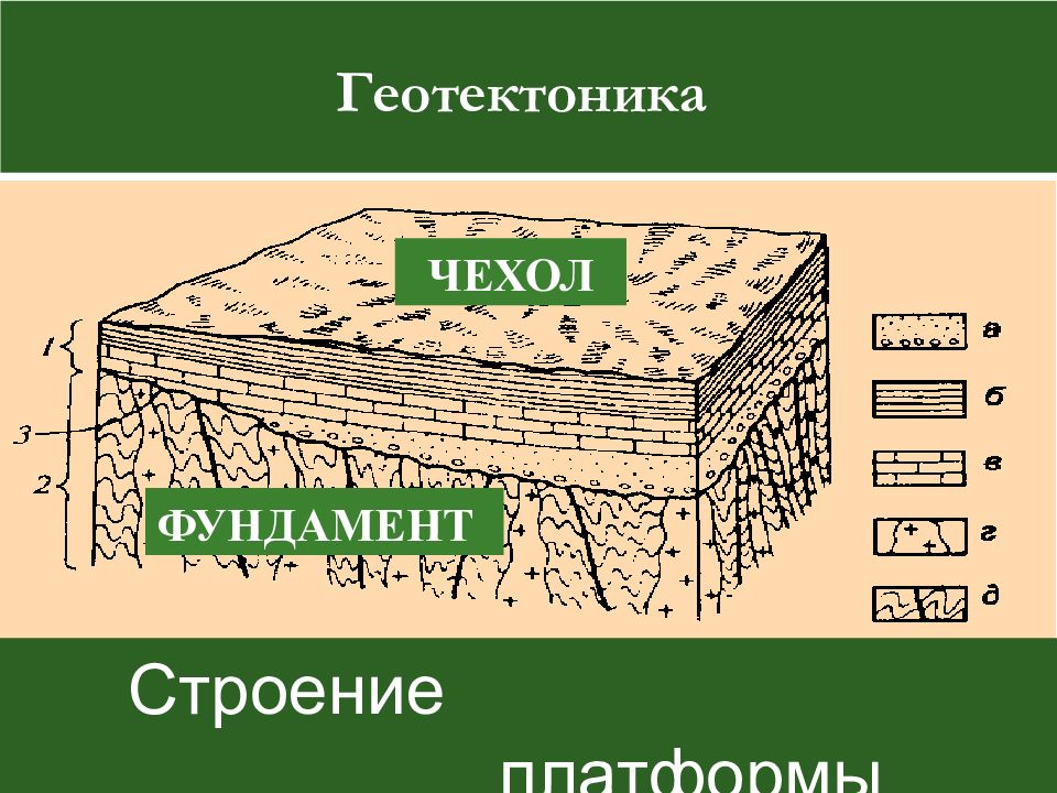 Строение платформы. Геотектоника. Чехол и фундамент. Фундамент и чехол платформы. Геотектоника изучает.