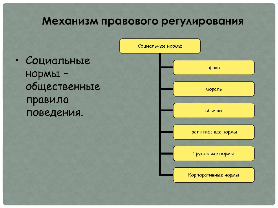 Социальные роли в науке