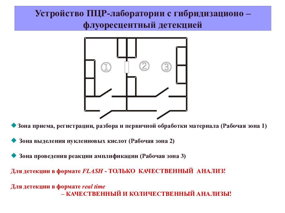 Схема пцр лаборатории по зонам