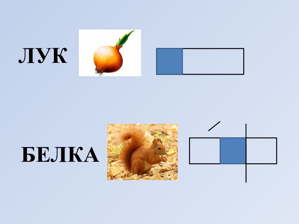 Тема л. Буква л лук. Лук белок. Слова на букву л лук. Белка лук символ.