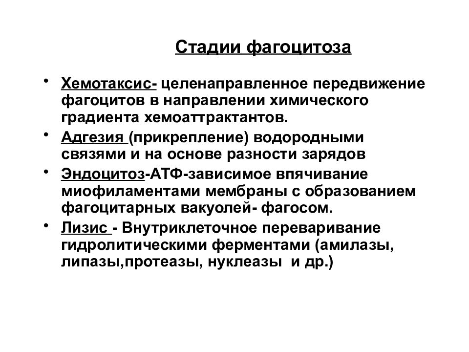 Хемотаксис это. Этапы процесса фагоцитоза иммунология. Стадии развития фагоцитоза патофизиология. Основные стадии фагоцитоза. Процесс фагоцитоза стадии.