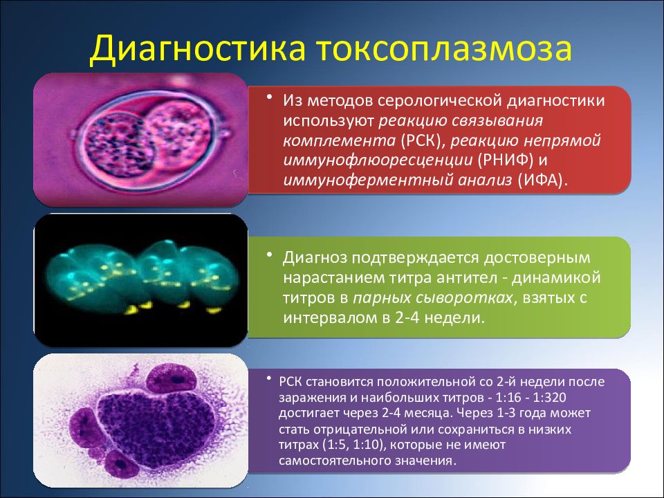 Токсоплазмоз у новорожденных презентация