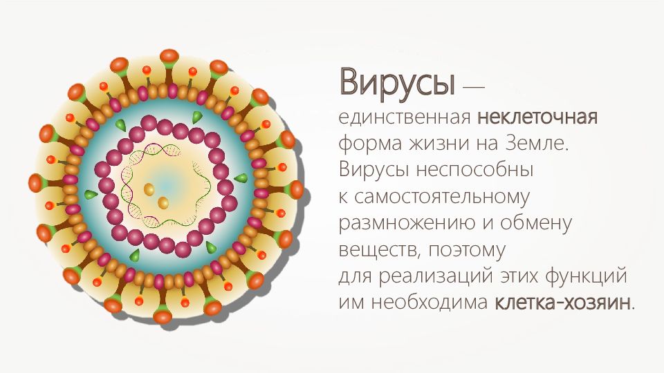 Есть ли у вирусов клетки. Вирусы презентация. Особенности клеточного строения вирусов. Особенности клеточного строения. Неклеточные структуры клетки.