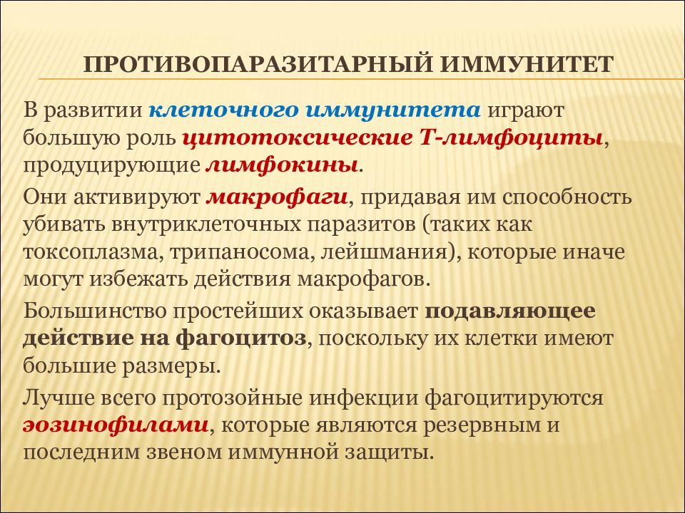 Противопротозойный иммунитет схема