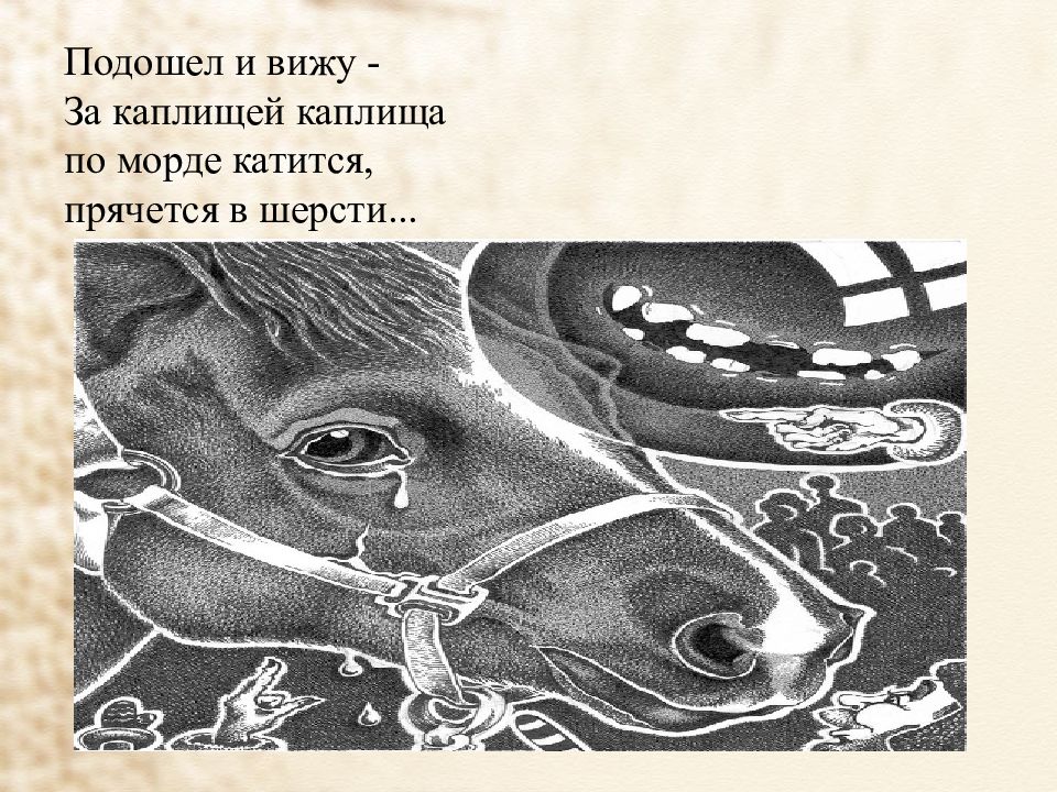 Стихотворения маяковского хорошее отношение к лошадям читать. Хорошее отношение к лошадям Маяковский. Иллюстрация к стихотворению Маяковского хорошее отношение к лошадям. Рисунок к стихотворению Маяковского хорошее отношение к лошадям. Хорошее отношение к лошадям Маяковский иллюстрации.