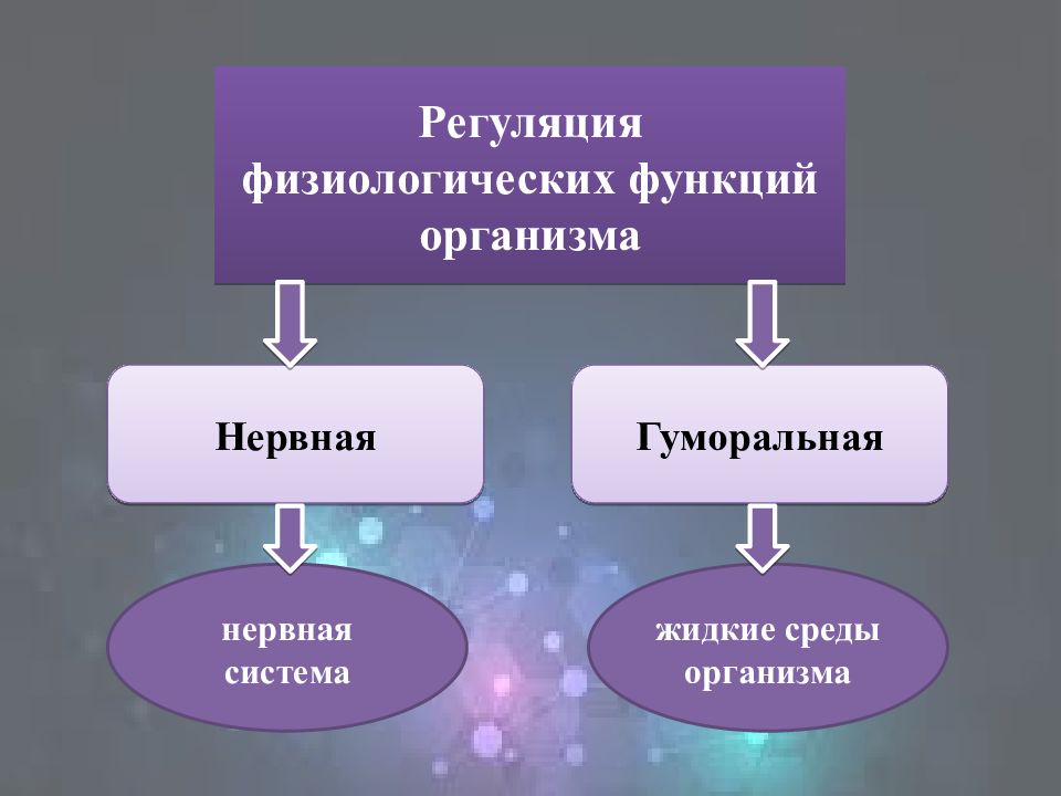 Сигнальная форма регуляции деятельности