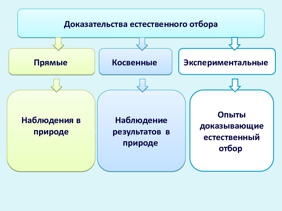 Естественная форма. Доказательства действия естественного отбора. Косвенные доказательства естественного отбора. Экспериментальные доказательства естественного отбора. Прямые доказательства естественного отбора.