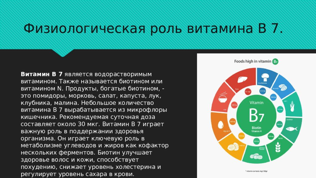 Основная функция водорастворимых витаминов это