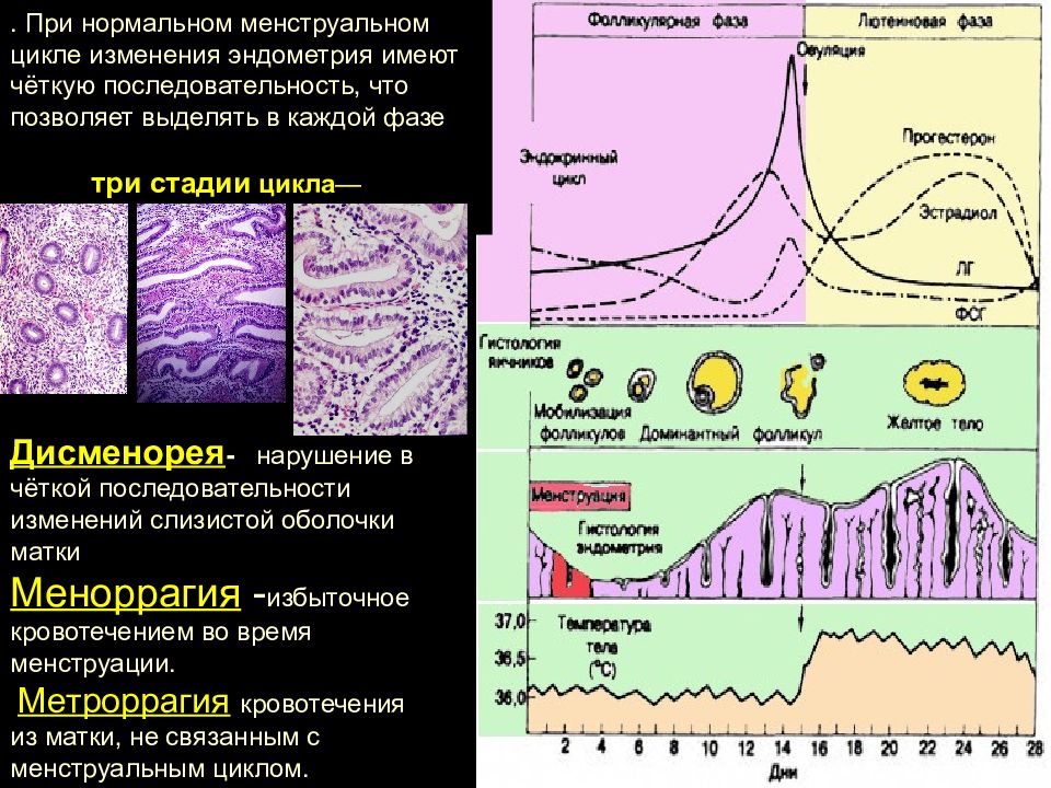 Изменения цикла