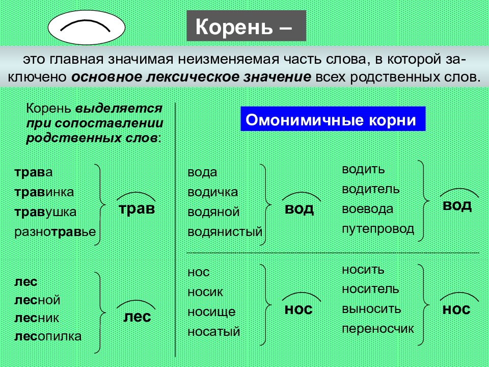 Повторение темы словообразование 6 класс презентация