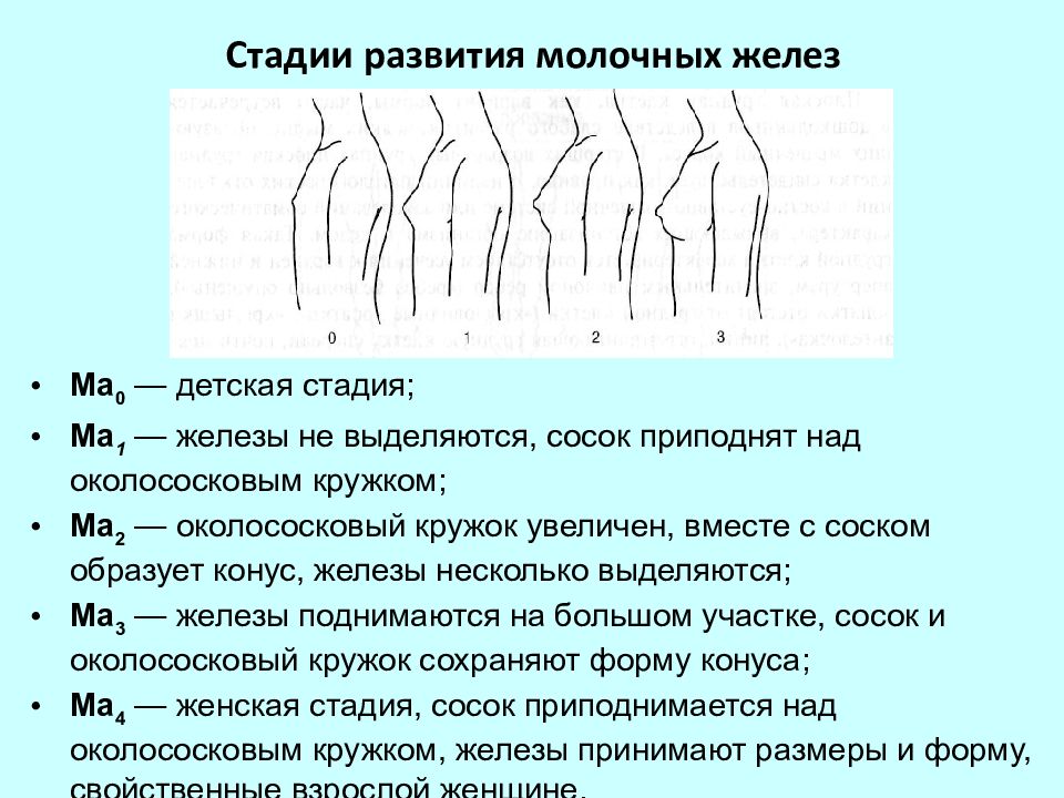 Оценка физического развития подростков презентация