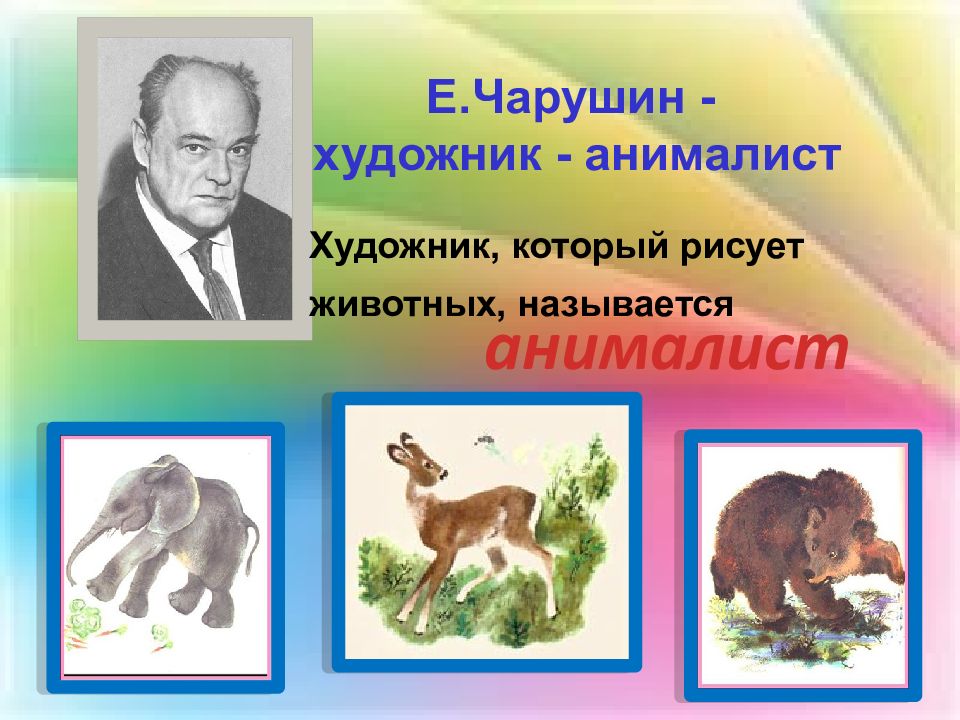 Конспект урока чарушин. Е.Чарушин художник - анималист. Художник анималист Чарушин анималист. Чарушин презентация.