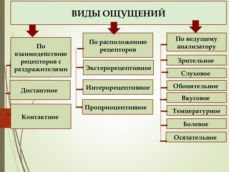 Ощущение вариант. Классификация ощущений схема. Виды ощущений. Классификация ощущений таблица. Ощущение классификация ощущений.