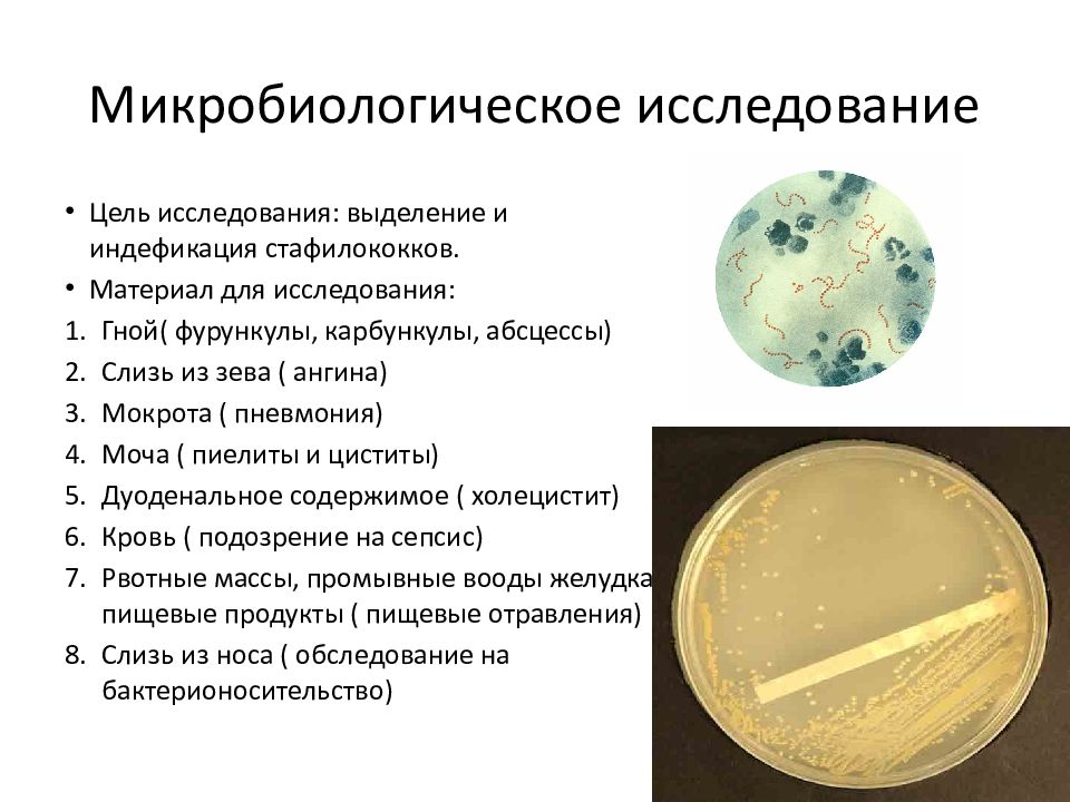 Современные технологии применяемые в клинической микробиологии презентация