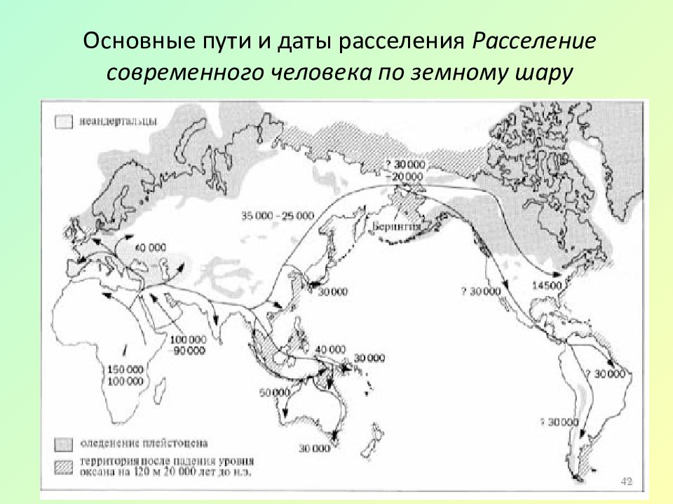 Рассмотрите рисунок 90 учебника принимая во внимание последовательность расселения человеческих рас