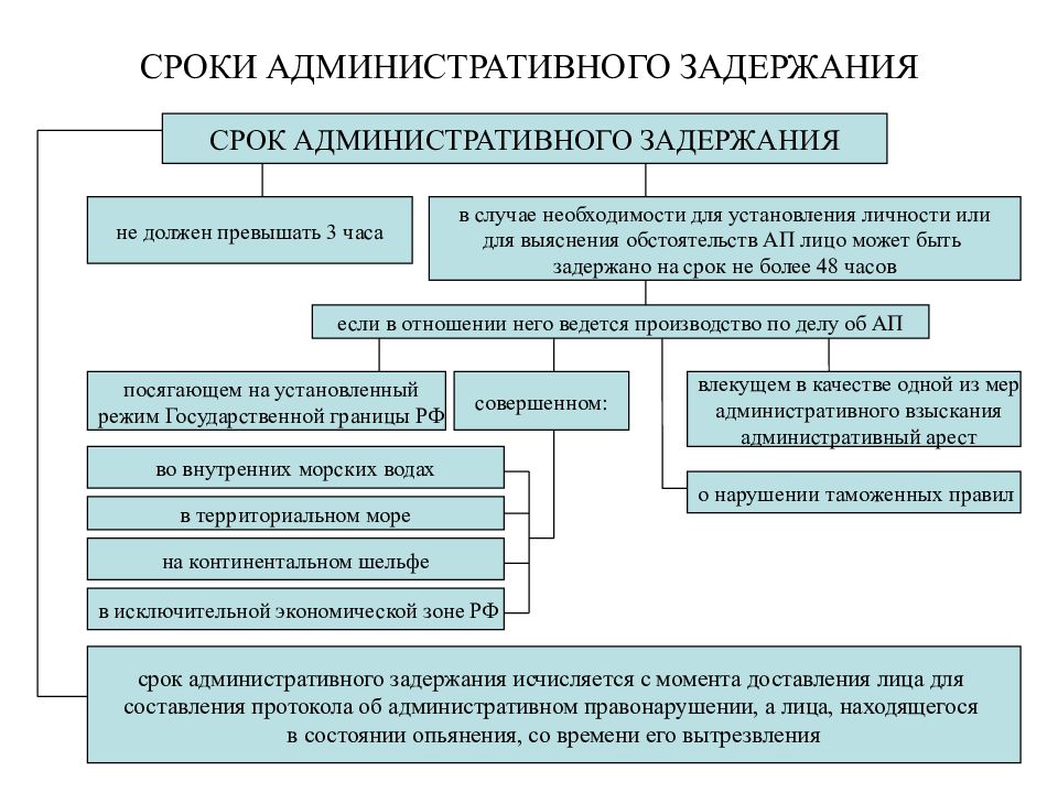 Протоколы о применении мер обеспечения производства образец