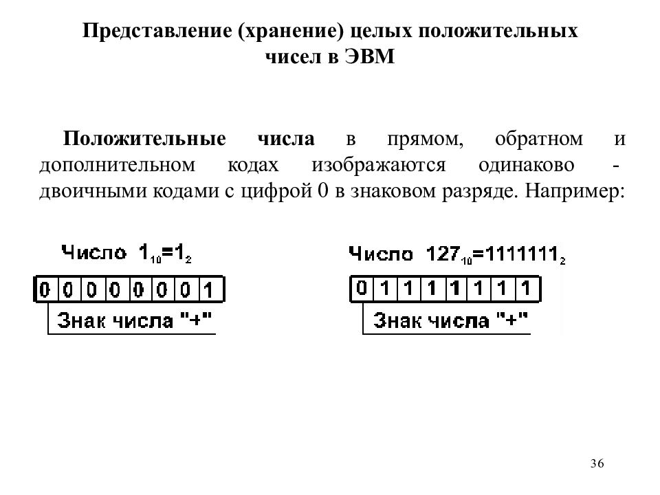 Представление целых. Представление целых чисел в ЭВМ. Представление целых положительных чисел. Представление чисел со знаком в ЭВМ. Способы представления двоичных чисел в ЭВМ.