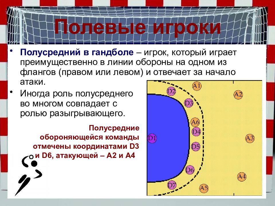 Схема гандбольной площадки