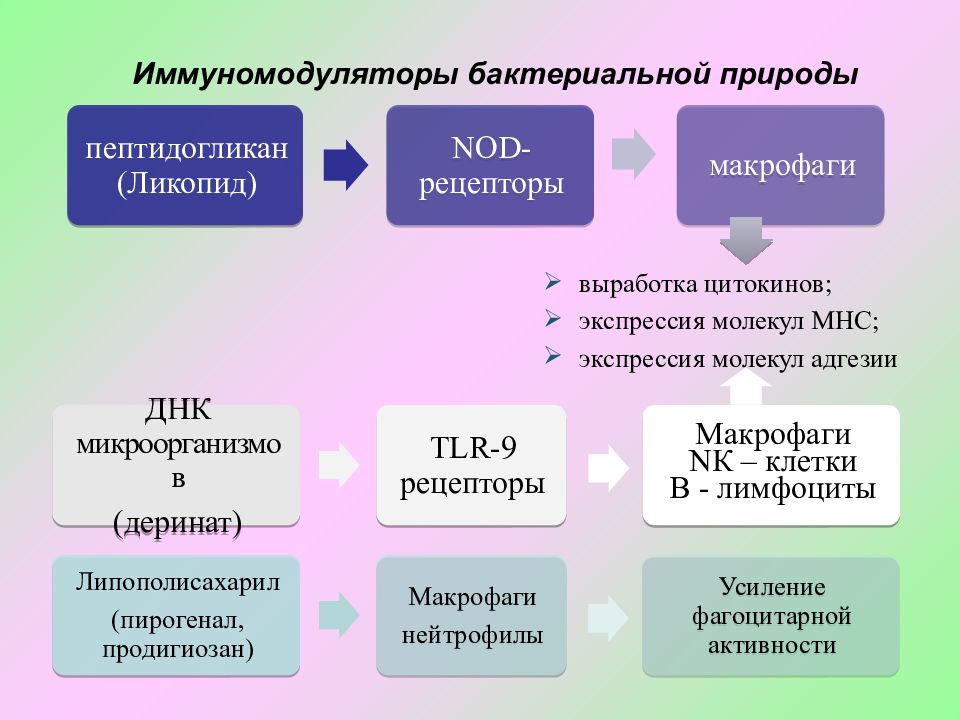 Иммуномодуляторы иммунология презентация