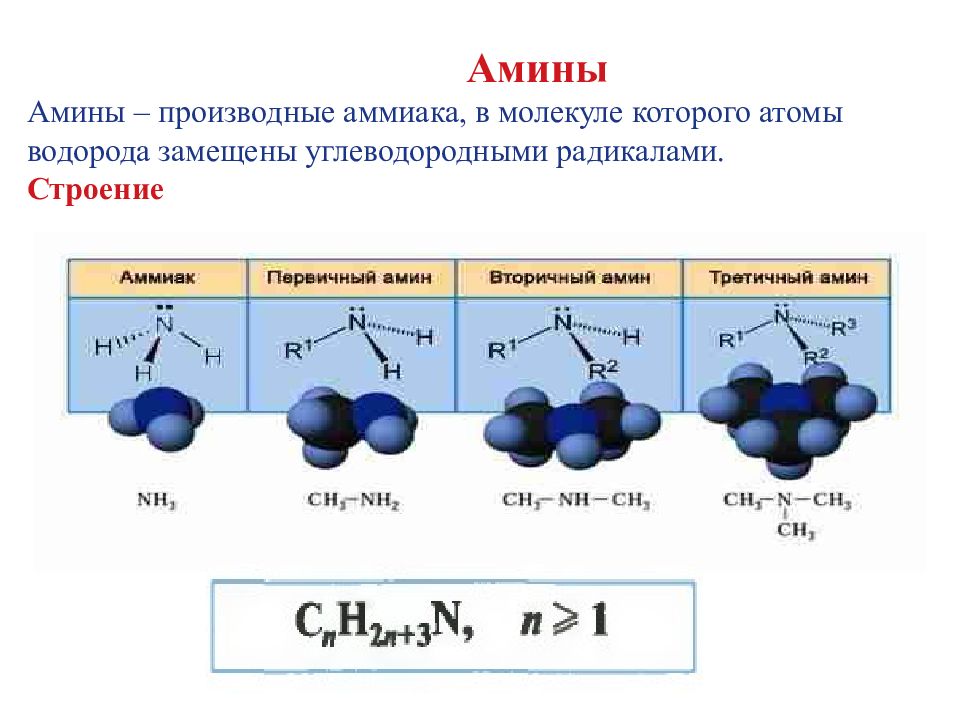 Аминокислоты и амины презентация