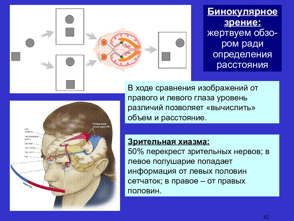 Обработка и анализ изображений в задачах машинного зрения визильтер ю в и др 2010