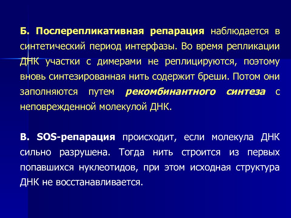 Синтетический период. Синтетический период интерфазы. Репликация ДНК период интерфазы. Периоды интерфазы репарация. Репликация ДНК В интерфазе.