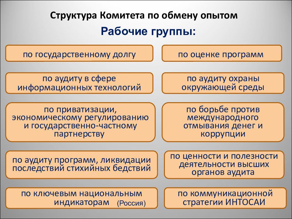 Государственный аудит инвестиционных проектов