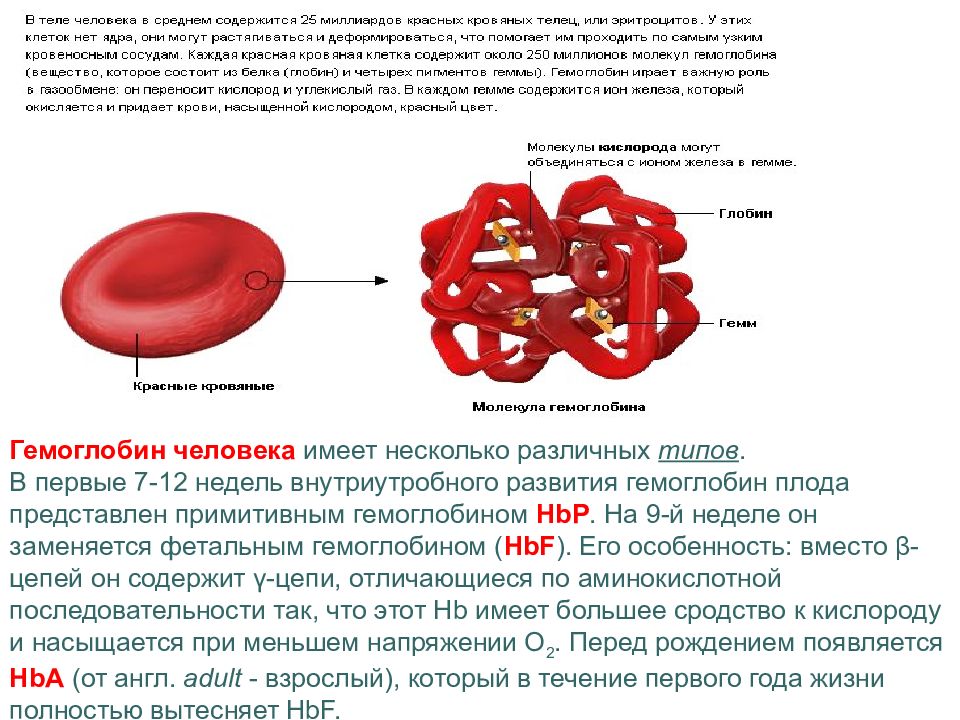 В проведенном опыте результаты которого изображены на рисунке эритроциты поместили