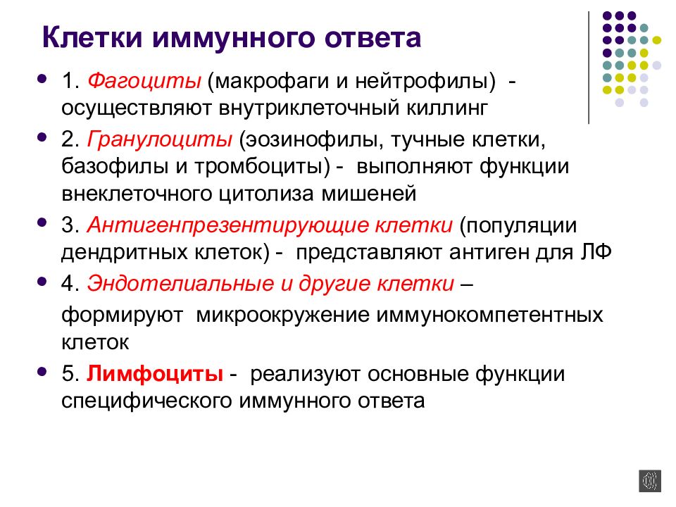 Клетки иммунитета. Функции клеток иммунного ответа. Иммунокомпетентные клетки фагоциты и. Функции нейтрофилов. Эозинофилы, базофилы и тучные клетки.