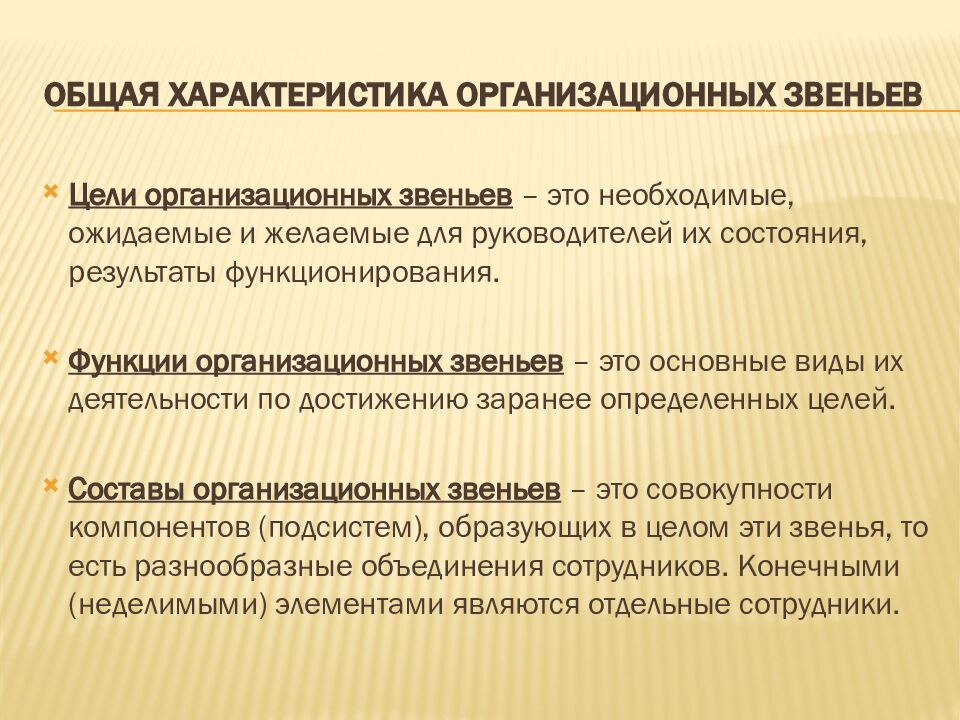 Общая характеристика организационных звеньев