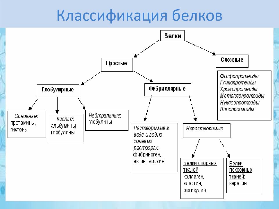 Классификация сложных. Классификация белков по химическому строению. Классификация белков биология 10 класс. Классификация простых белков таблица. Классификация структуры белка:.