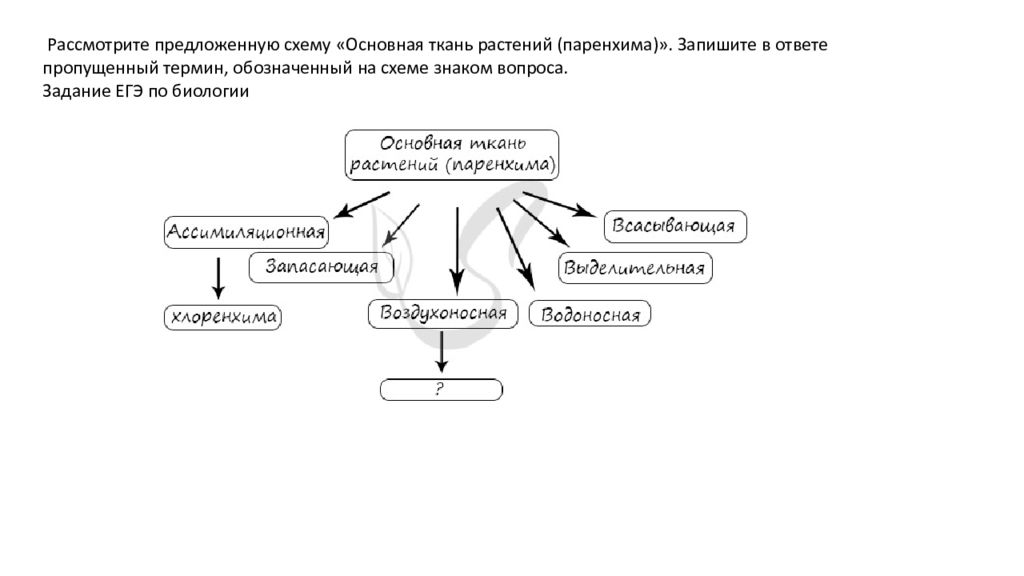 Запишите пропущенный термин