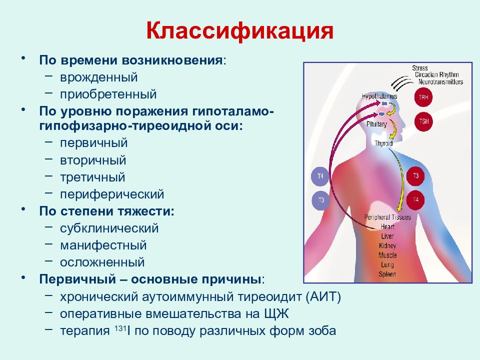 Тиреоидит узлы щитовидной железы