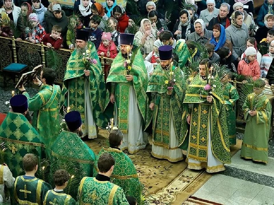 Вербное воскресенье одежда священников. Цвет облачения священников на Вербное воскресенье. Троица богослужение. Облачение на Троицу. Облачение священника на Троицу.