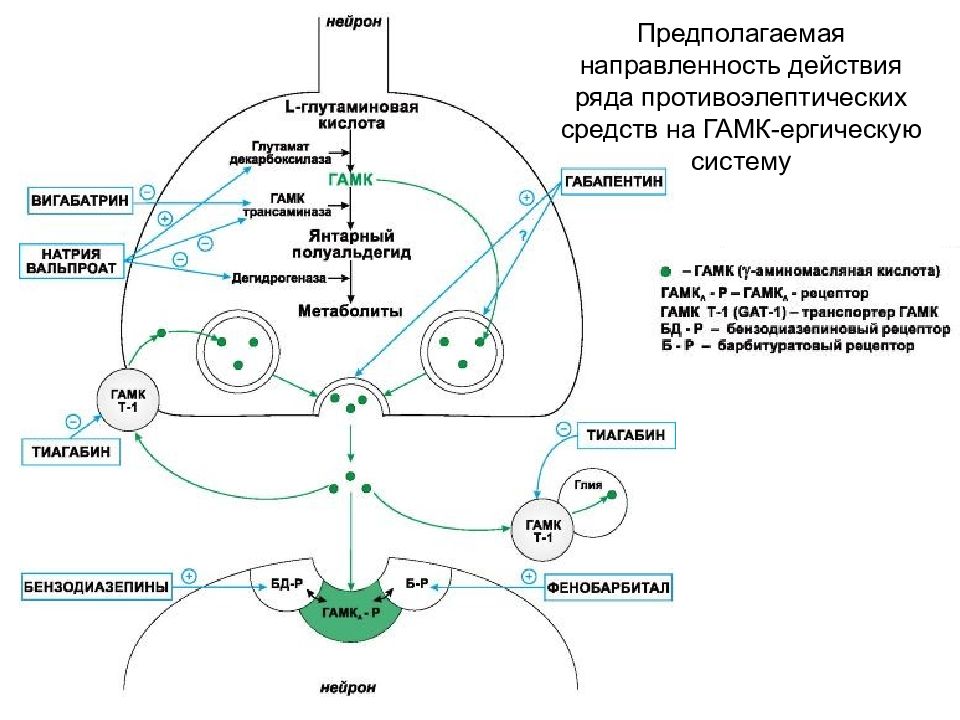 Противоэпилептические средства презентация