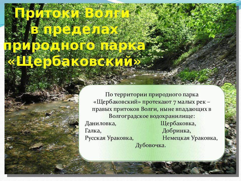 Опишите по плану реки волгоградской области практикум