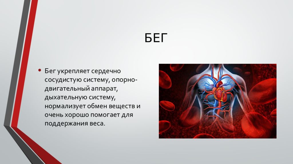 Бег как средство укрепления здоровья проект