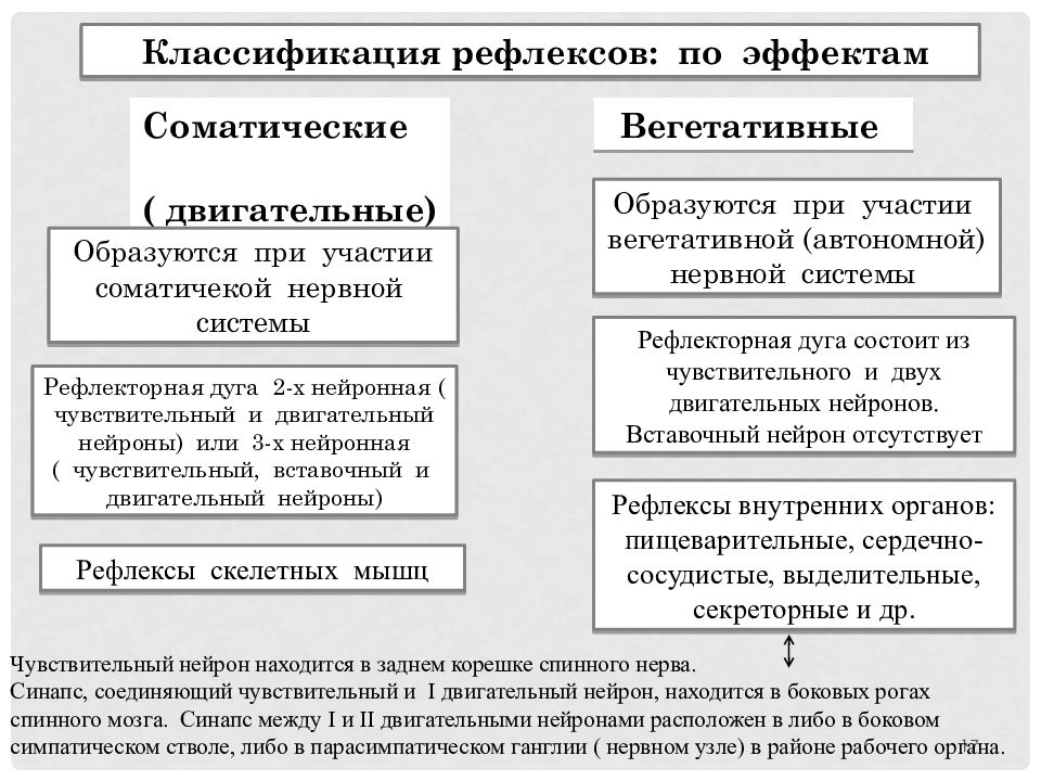 Внд подготовка к егэ презентация