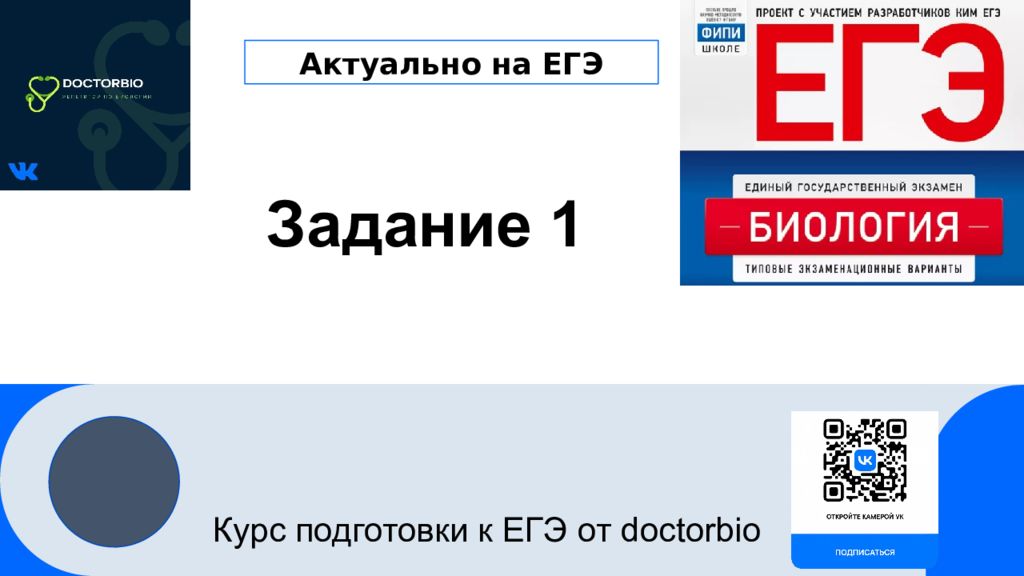Задание 1