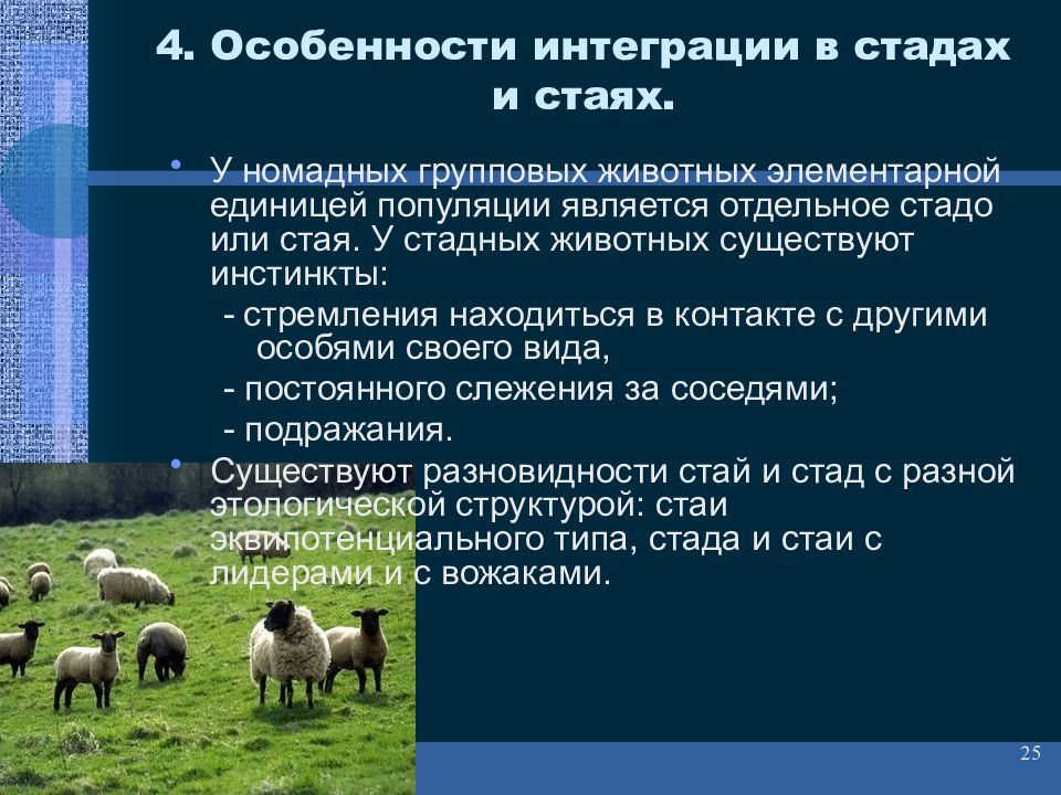 Четыре особенности. Функциональная интеграция. Функциональная структура популяции. Интеграция особей. Функциональные группы в популяции.