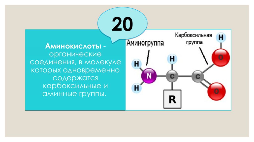 Аминокислоты в молекуле белка соединены