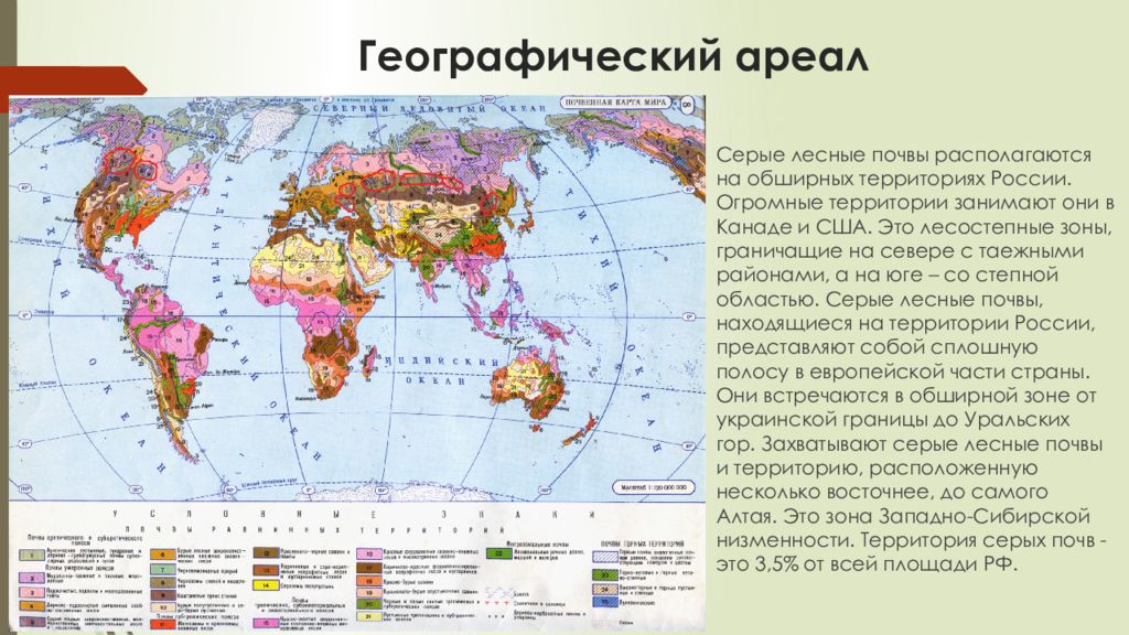 Презентация лесные зоны 8 класс полярная звезда