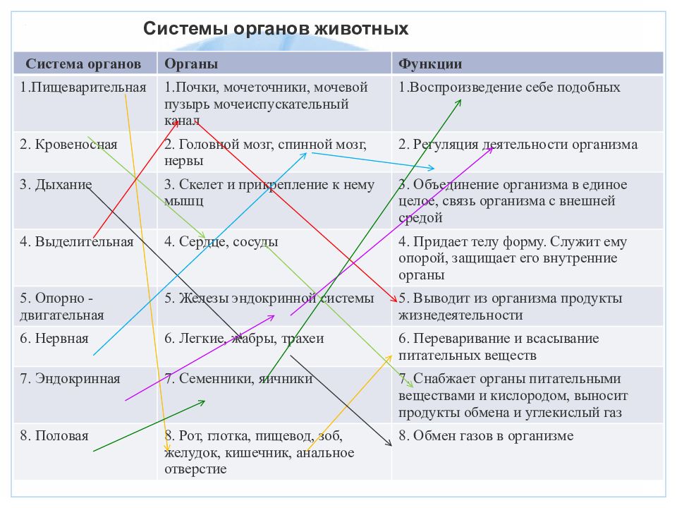 Мир как единое целое презентация