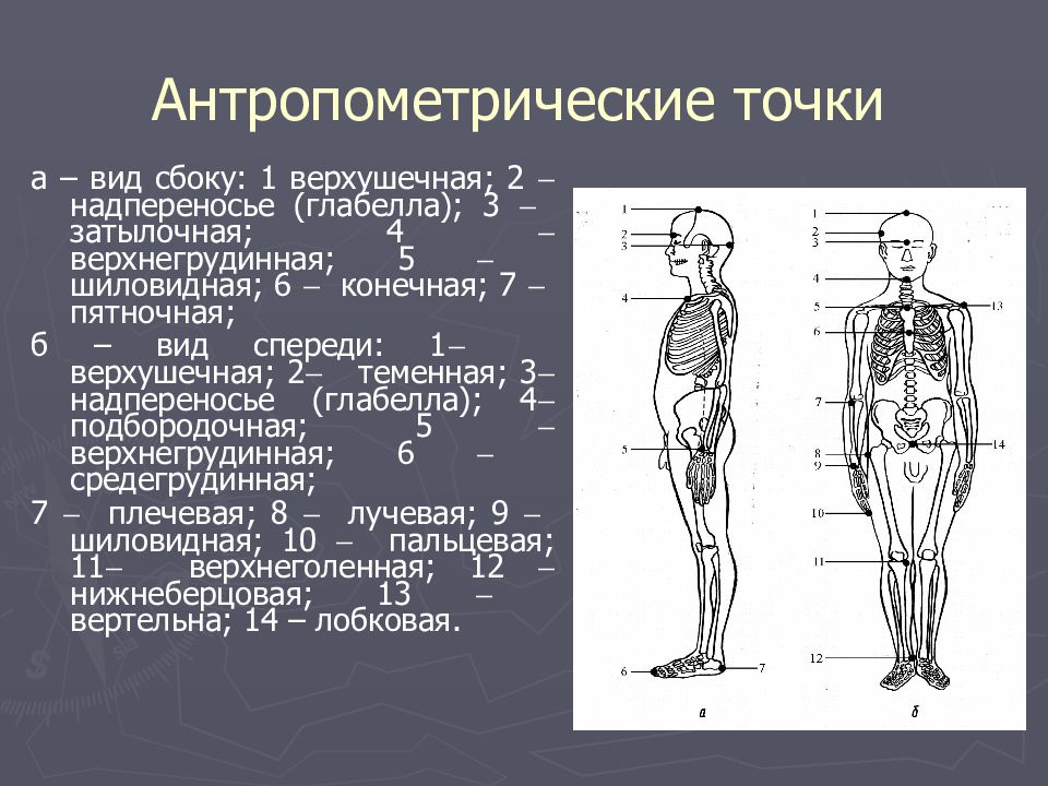 Точки измерения. Антропометрические точки: 1 – верхушечная. Антропометрические точки антропометрические точки. Верхнегрудинная антропометрическая точка. Антропометрические точки фигуры человека для снятия мерок.