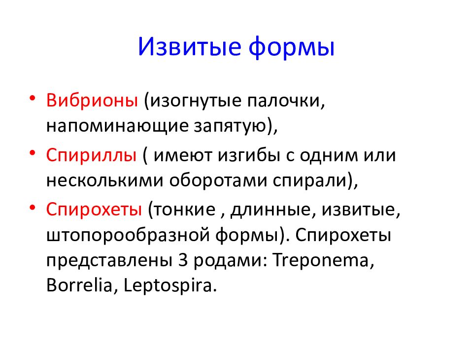 Морфология и физиология бактерий. Морфология и физиология микроорганизмов. Морфология лекция. Изогнутые палочки напоминающие запятую.