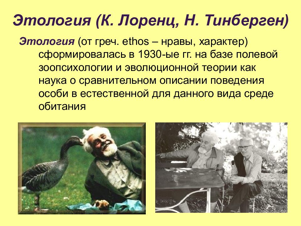 Этология (К. Лоренц, Н. Тинберген )