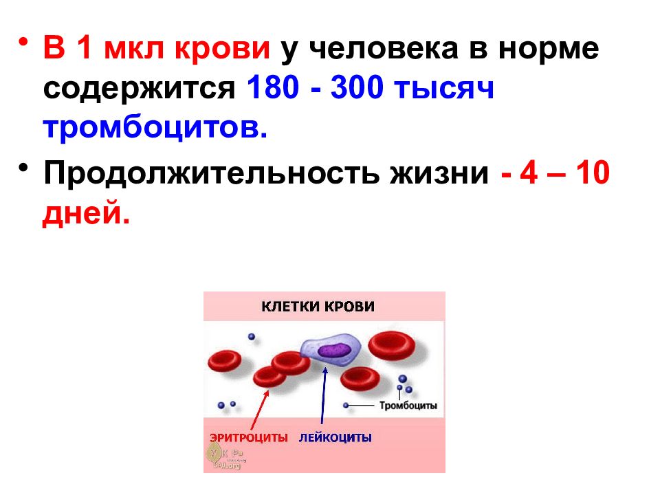 Химия крови проект