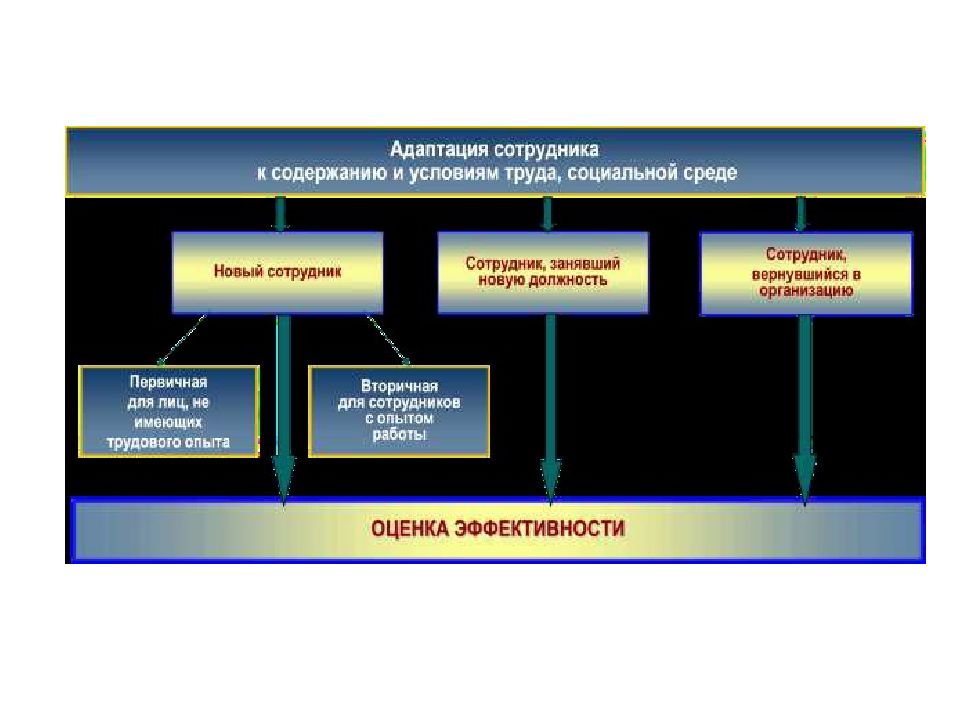 Источники развития персонала. Обучение и адаптация персонала. Схема адаптации обучение персонала. Таблица мониторинга адаптации персонала. Обучение и адаптация персонала на складе.