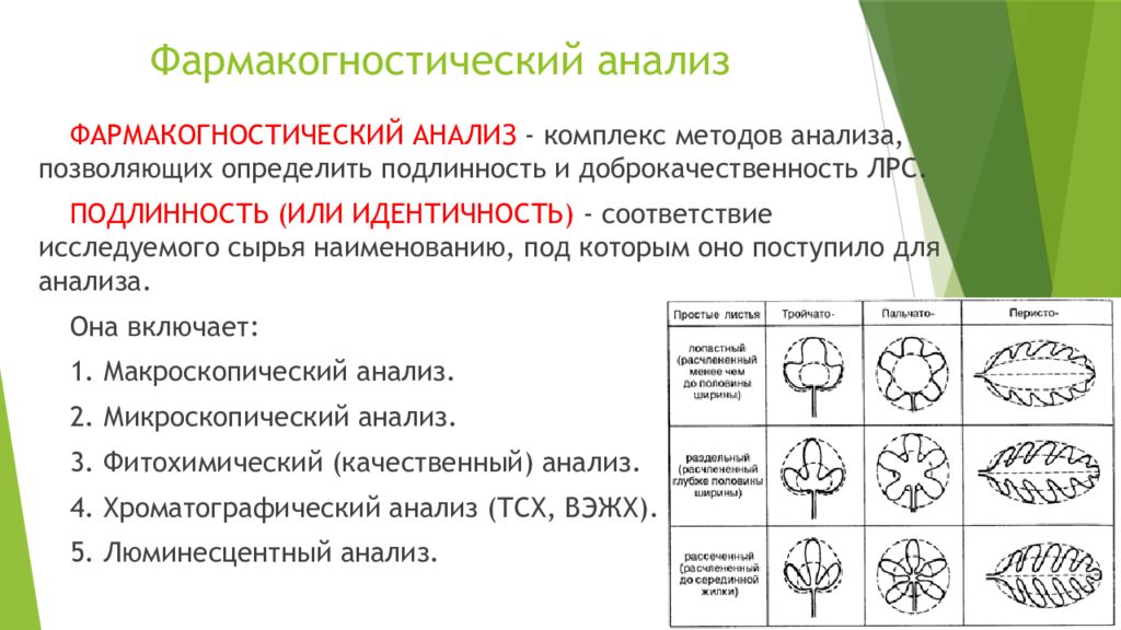 Макроскопический анализ лекарственного растительного. Методы анализа лекарственного растительного сырья. Макроскопический анализ лекарственного растительного сырья листья. Виды фармакогностического анализа. Фармакогностический анализ ЛРС.