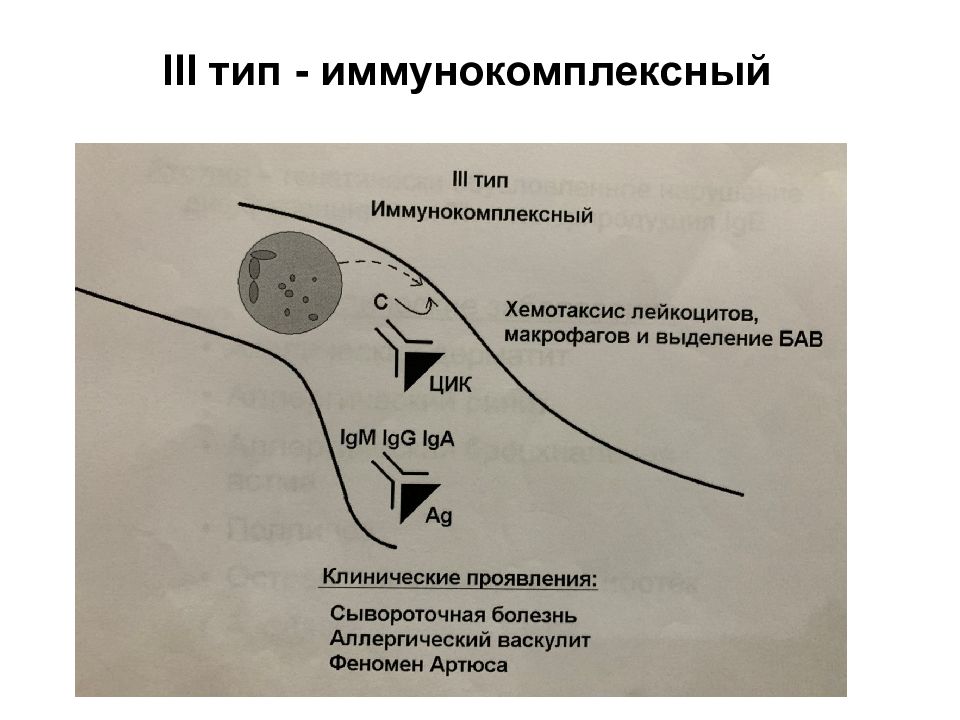 Карта аллергии онлайн